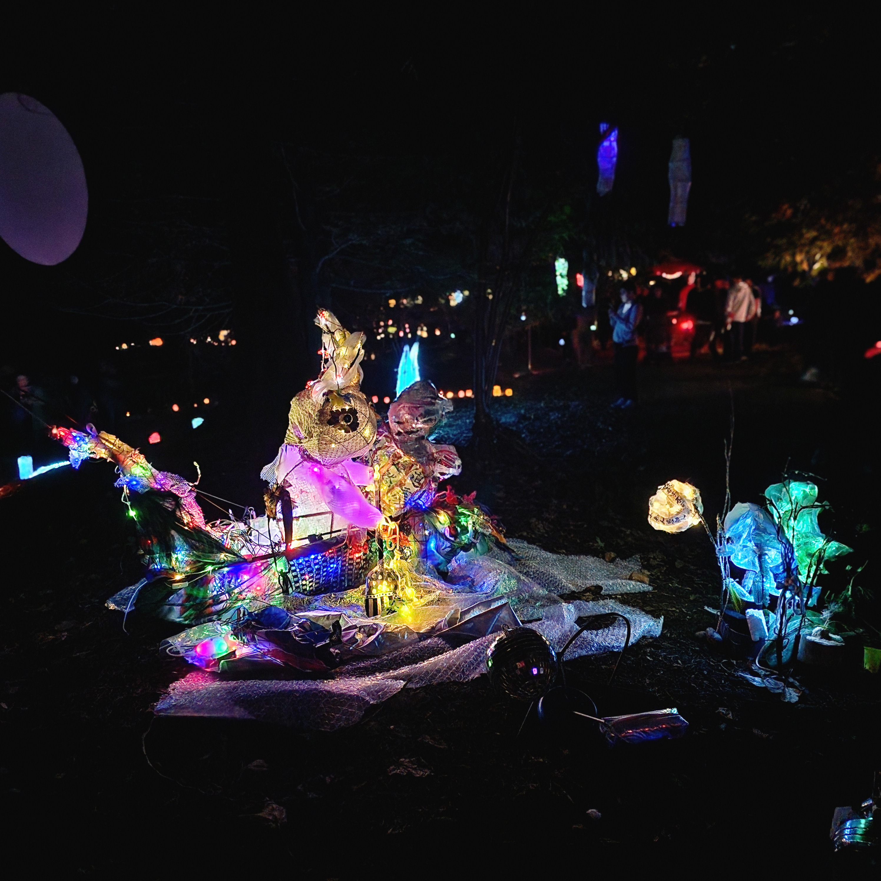 Turtle and Rabbit comrade, Lotus pod/leaves, Lantern Installation, Renfrew Moon Festival 2025